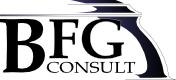 BFG Consult - Logo